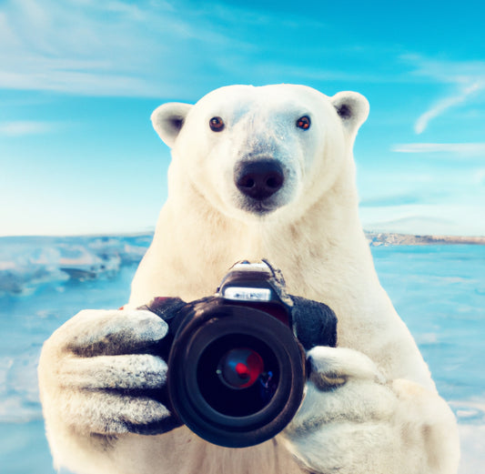 Polar bear on the beach holding a camera AI art