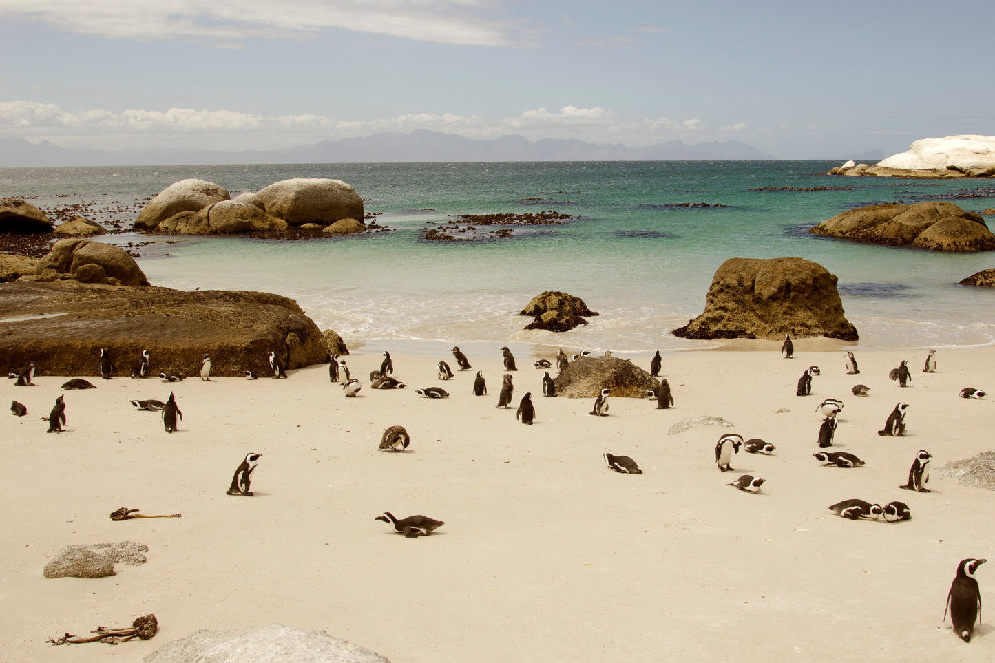 Amazing Landscapes of South Africa, Views of South Africa