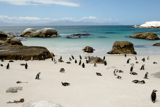 Amazing Landscapes of South Africa, Views of South Africa