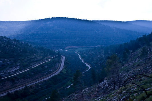 Amazing Landscapes of Israel, Views of the Holy Land