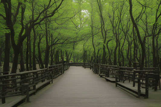 Trees in an the forest AI art