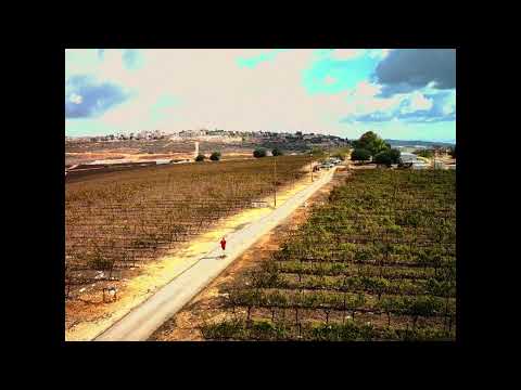 A man runs on Mount Bracha in Samaria, Israel