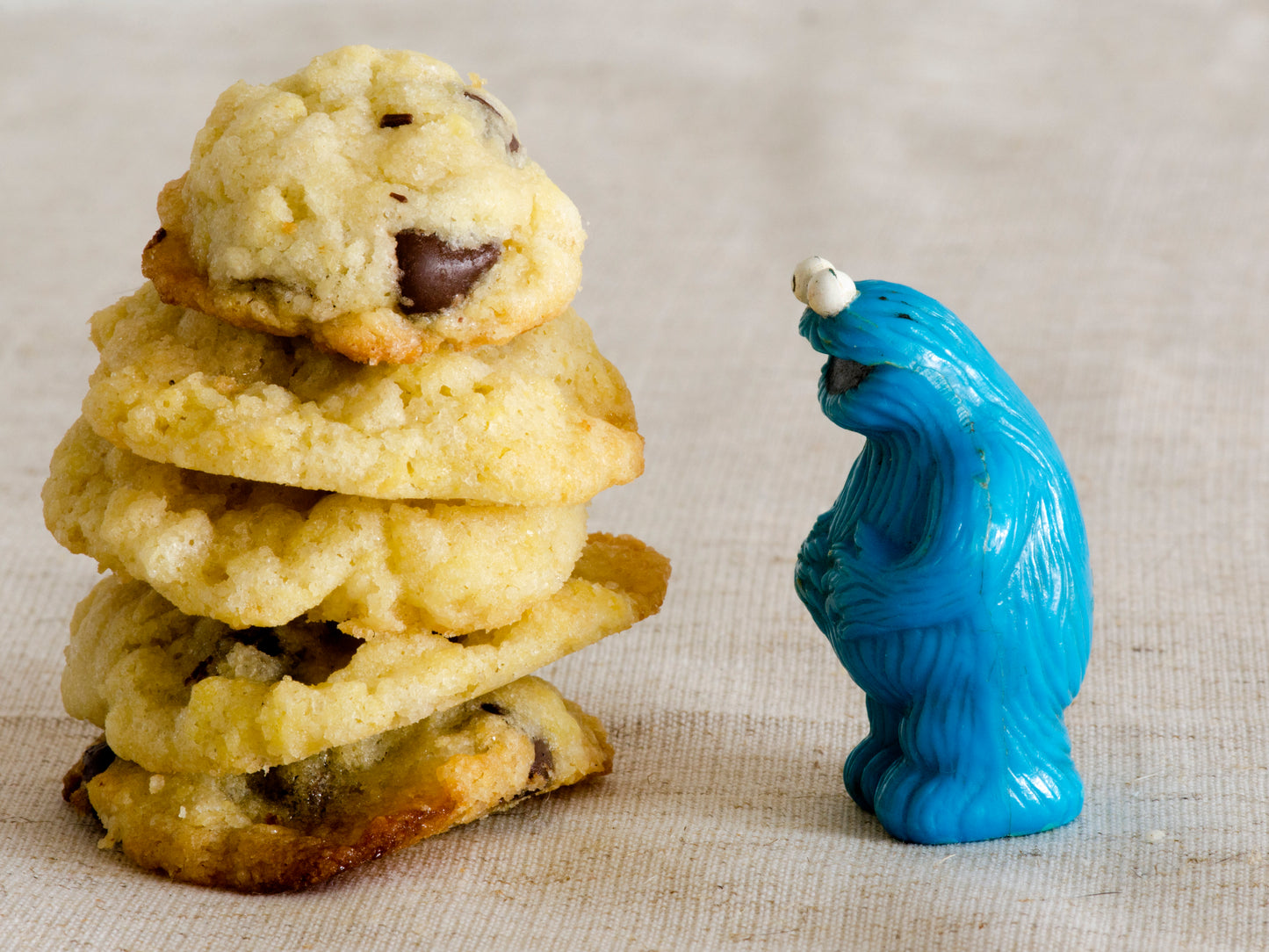 Cookie Monster Playmobil People And a chocolate chip cookie