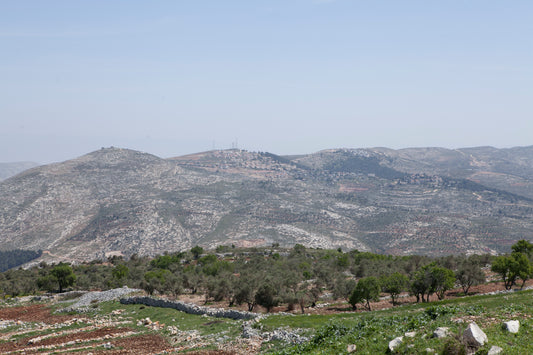 Amazing Landscapes of Israel, Views of the Samaria mountains