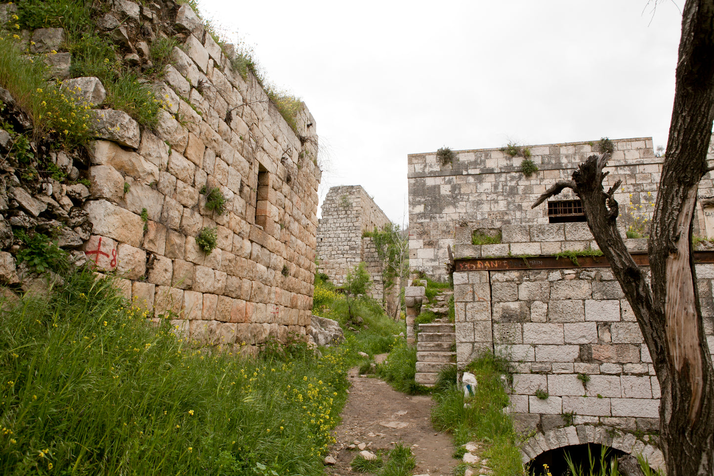 Architecture from the city of Jerusalem and Israel, Architecture of the Holy Land