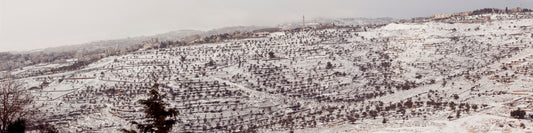 Snow in Jerusalem and the surrounding mountains