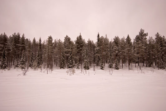 Landscapes of snow in Lapland
